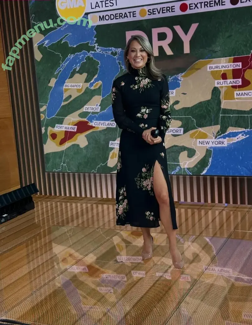 Ginger Zee nude photo #0081 (ginger_zee)