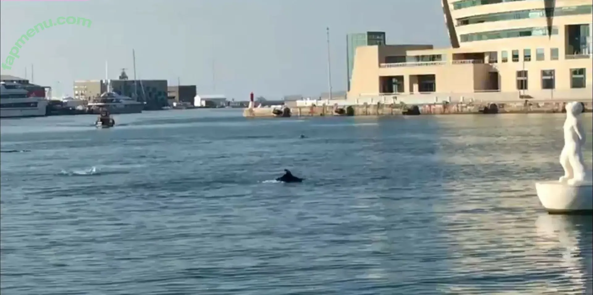 gioscotti nude photo #0004 (gioscotti)