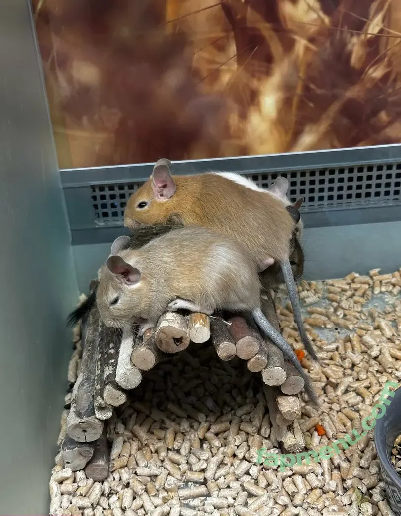 girloftheforest nude photo #0105 (girloftheforest)