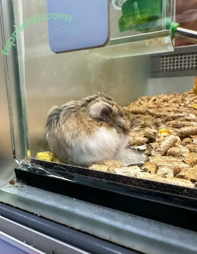 girloftheforest nude photo #0107 (girloftheforest)