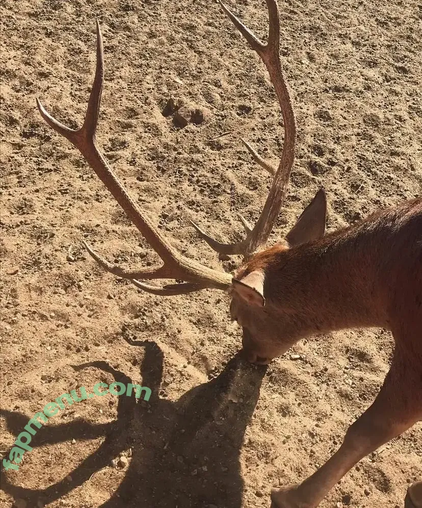 Gisela Berenguel nude photo #0082 (giselaberenguel / juustgigi)