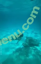 Gizem Emre nude photo #0189 (gizem_xe)