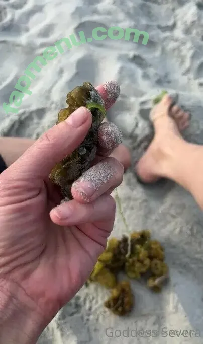 goddesssevera2 nude photo #0098 (amazongoddesssevera02)