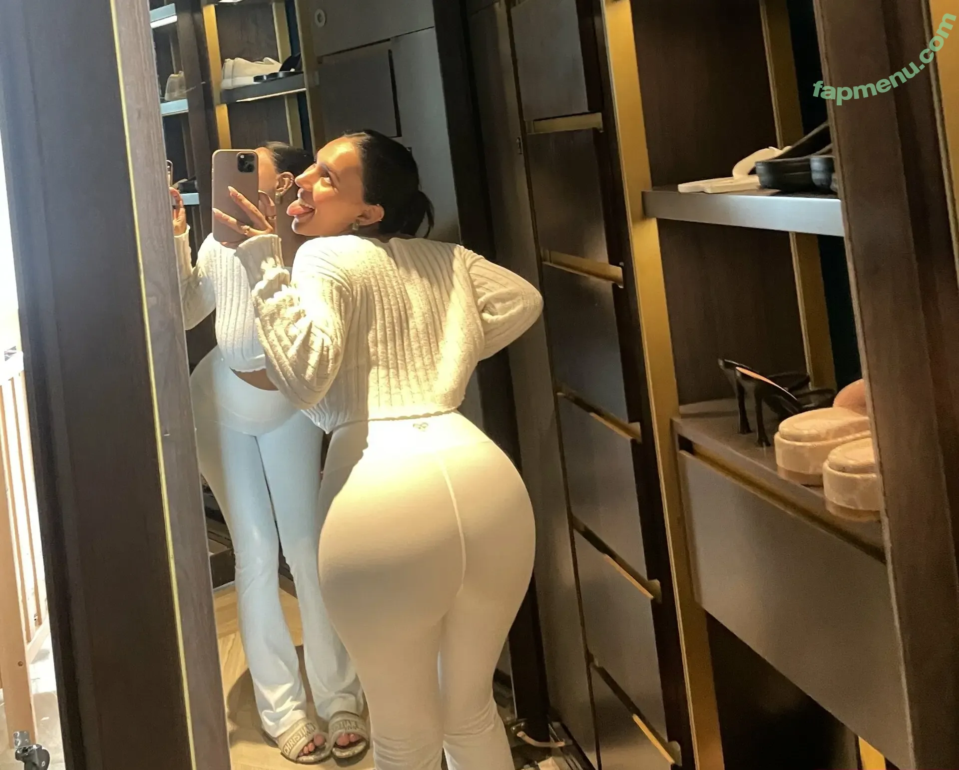 Gurneet Dosanjh nude photo #0134 (gurneetdxsanjh)