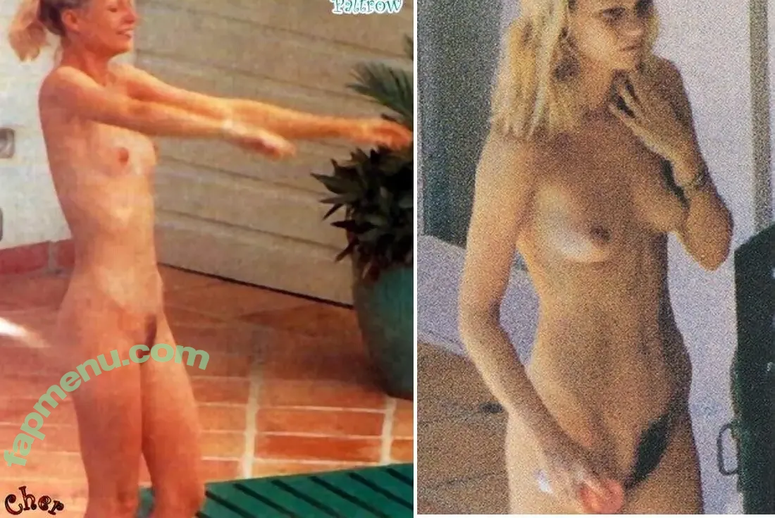 Gwyneth Paltrow nude photo #0698 (GwynethPaltrow)