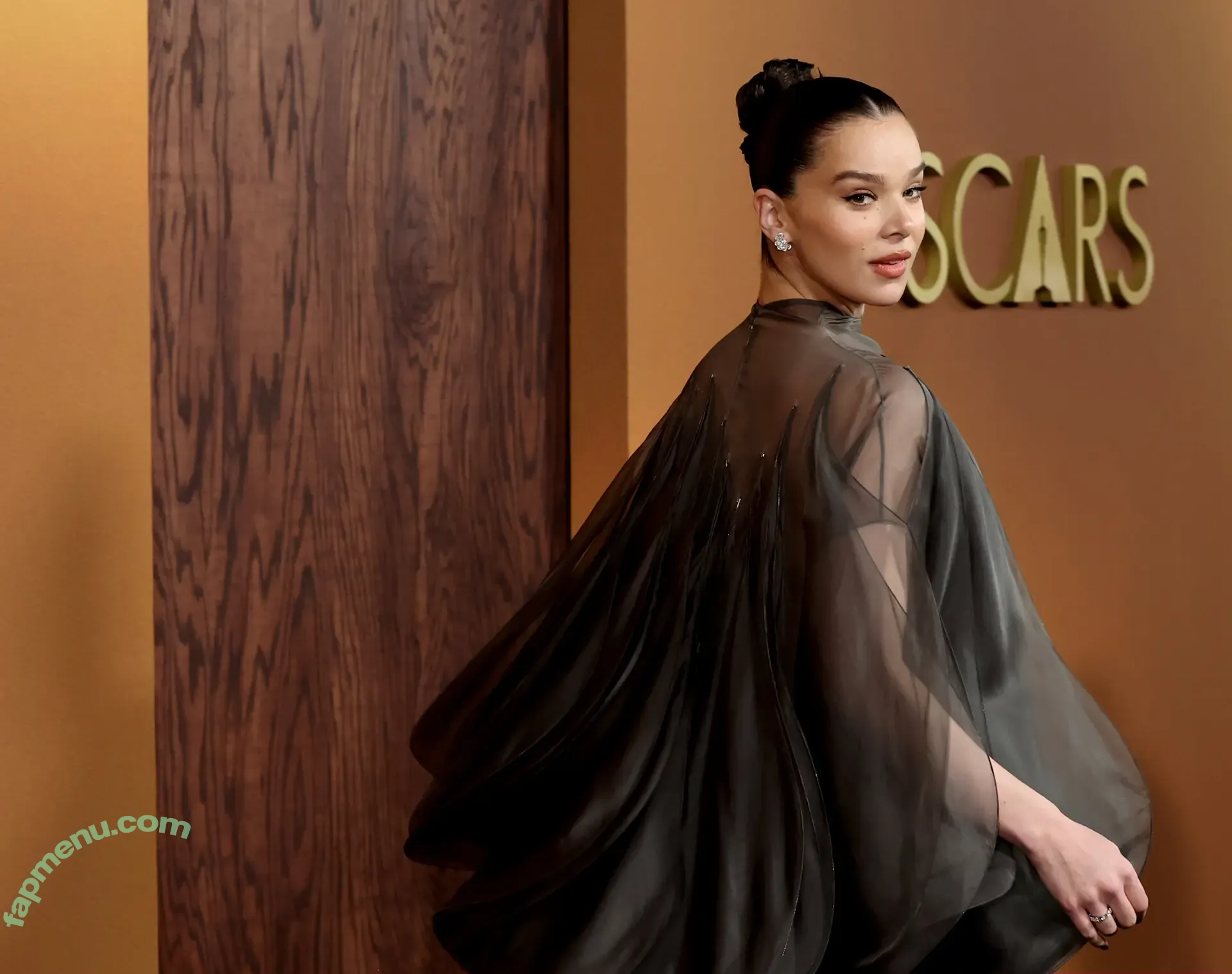 Hailee Steinfeld nude photo #0164 (haileesteinfeld)