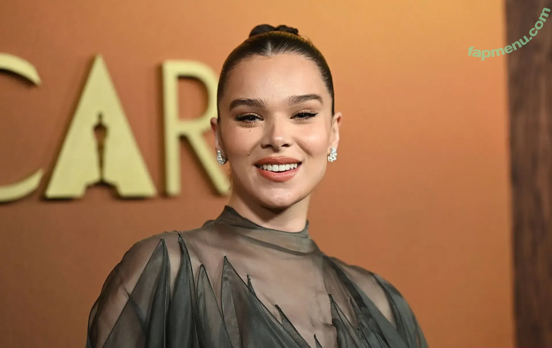 Hailee Steinfeld nude photo #0177 (haileesteinfeld)