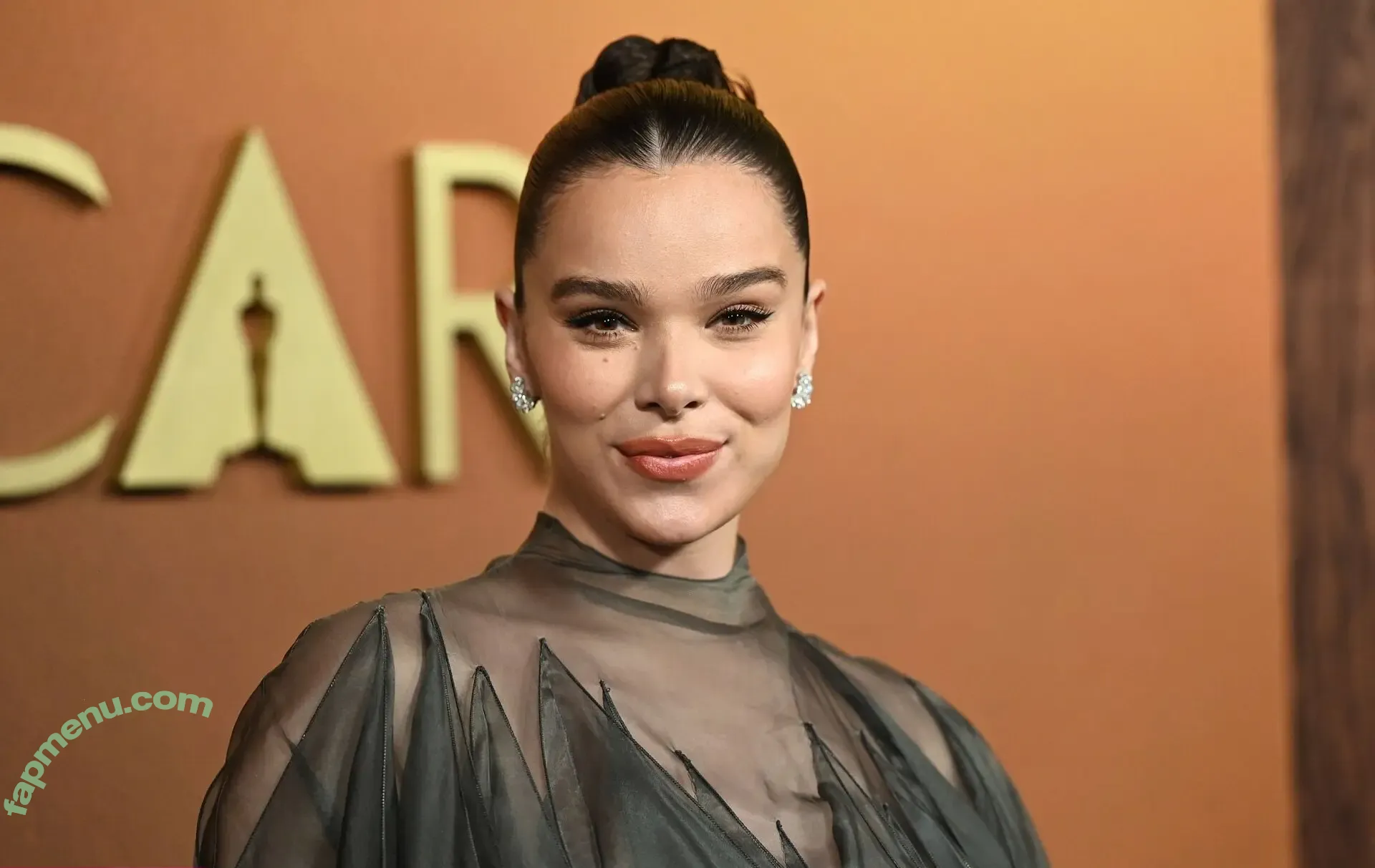 Hailee Steinfeld nude photo #0182 (haileesteinfeld)