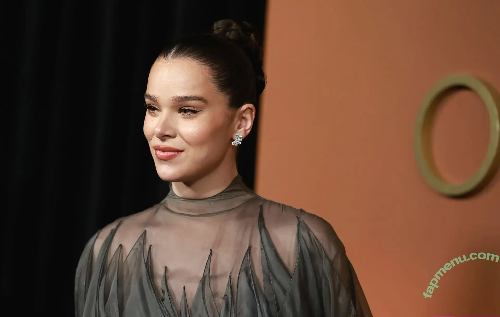 Hailee Steinfeld nude photo #0206 (haileesteinfeld)