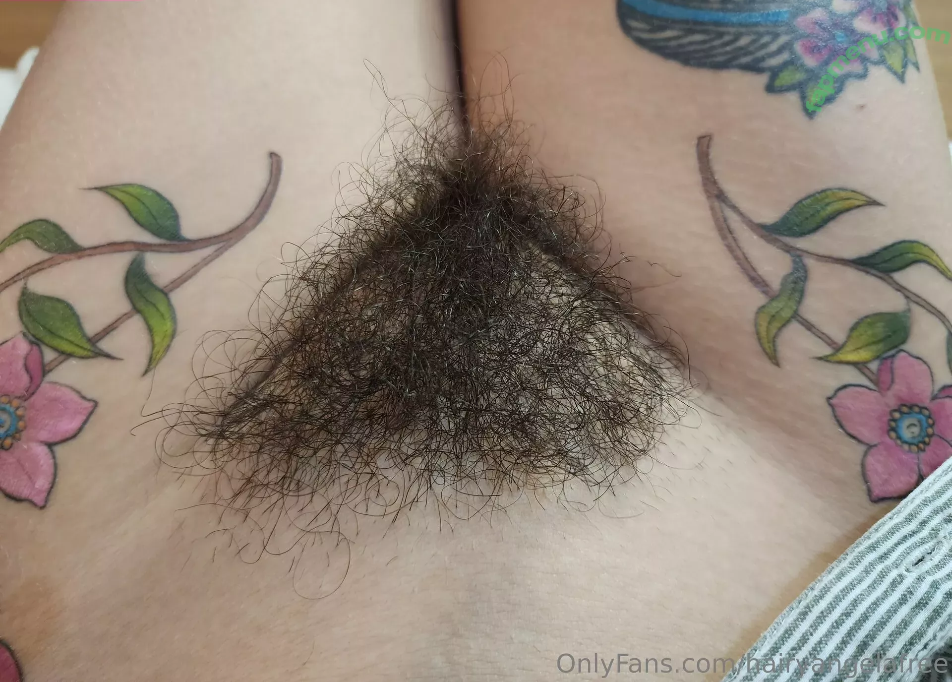 hairyangelafree nude photo #0011 (hairyangelafree)