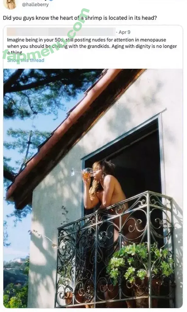 Halle Berry nude photo #0665 (halle_berry / halleberry)