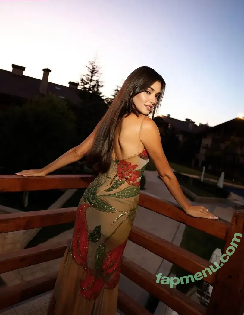 Hande Ercel nude photo #0323 (handemiyy)