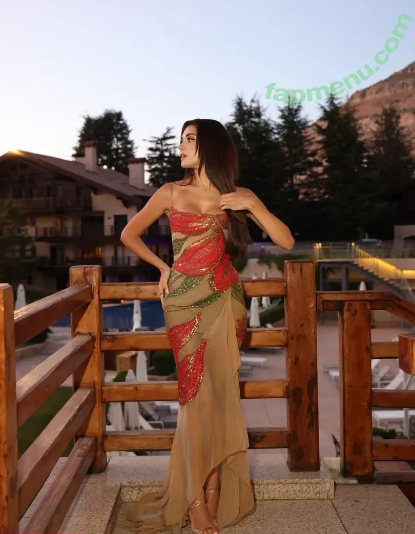 Hande Ercel nude photo #0324 (handemiyy)
