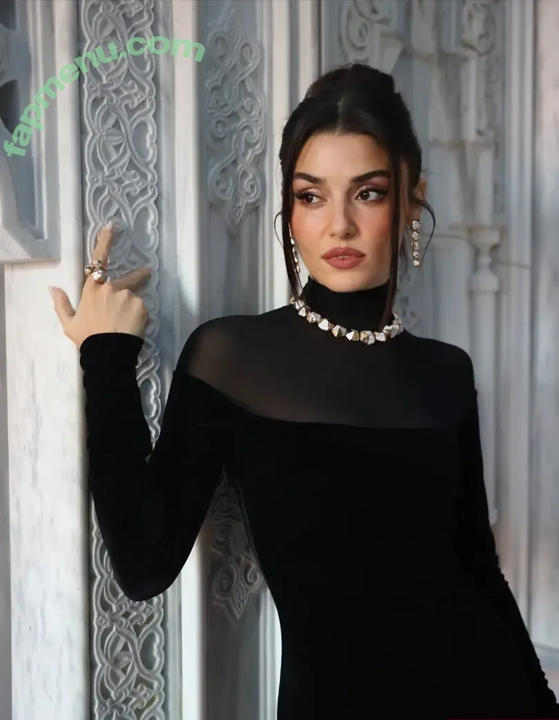 Hande Ercel nude photo #0332 (handemiyy)