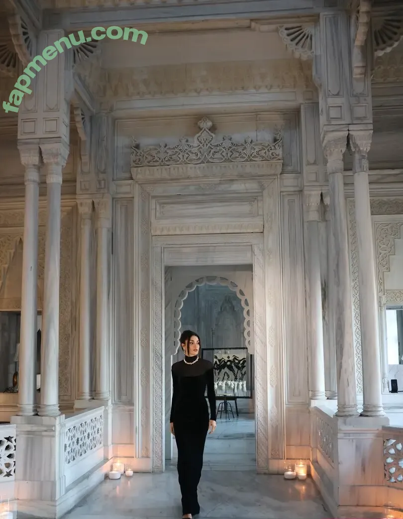 Hande Ercel nude photo #0334 (handemiyy)