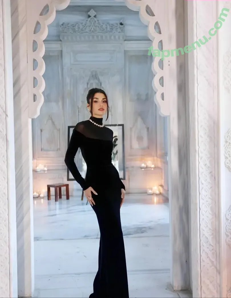 Hande Ercel nude photo #0339 (handemiyy)