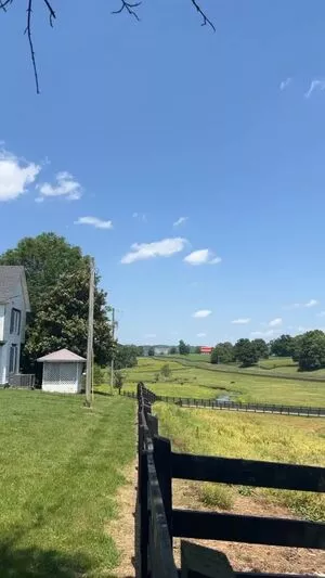 Hannah Murrell / hannahlee00 / hannahmurre11 / twinnumber_one nude photo #0179