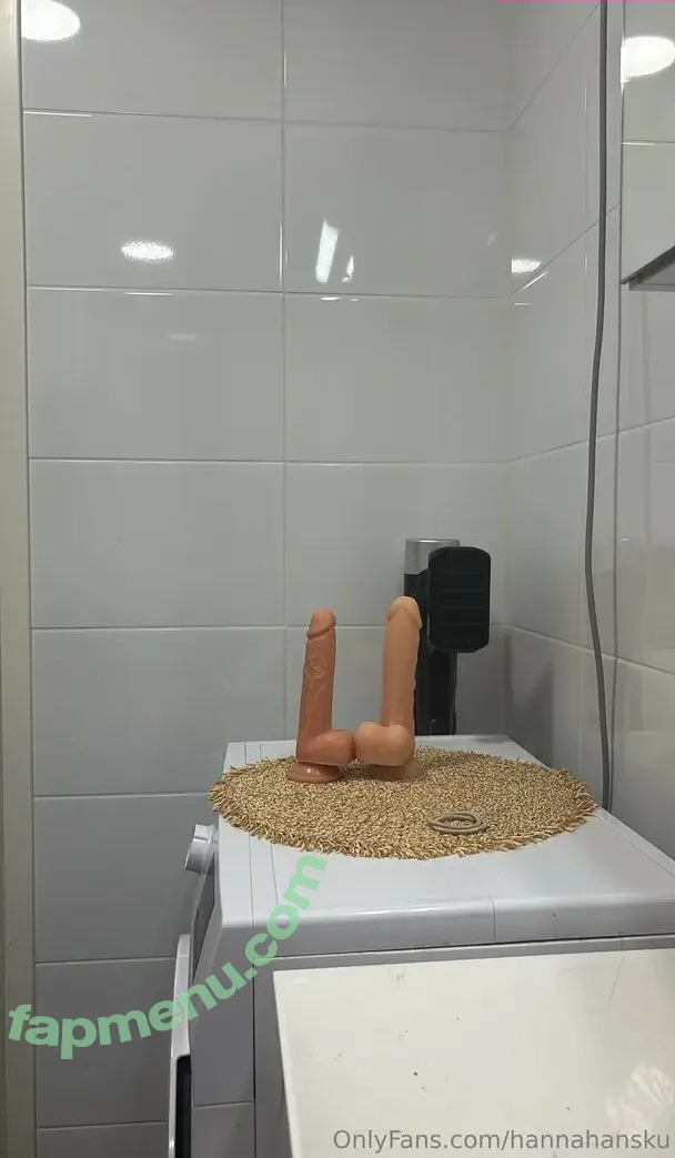 hannahansku nude photo #0044 (hanna.halon)