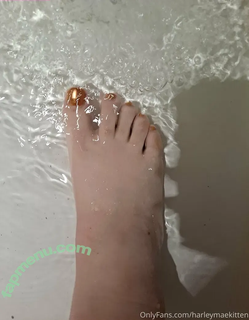 harleymaekitten nude photo #0001 (harleymaekitten)