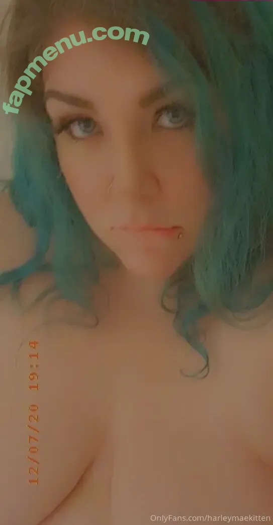 harleymaekitten nude photo #0002 (harleymaekitten)