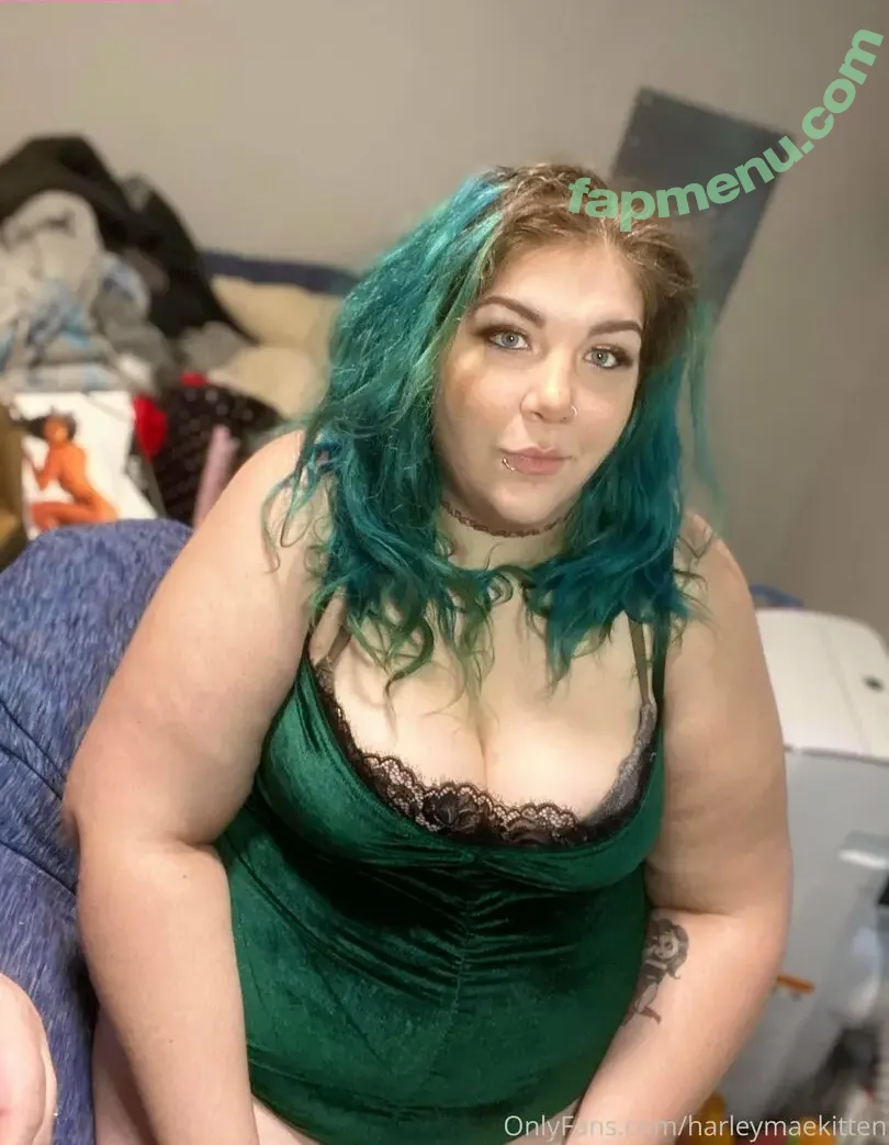 harleymaekitten nude photo #0003 (harleymaekitten)
