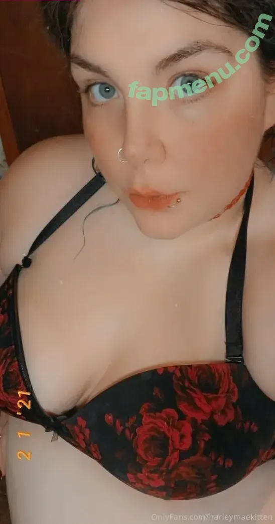 harleymaekitten nude photo #0007 (harleymaekitten)