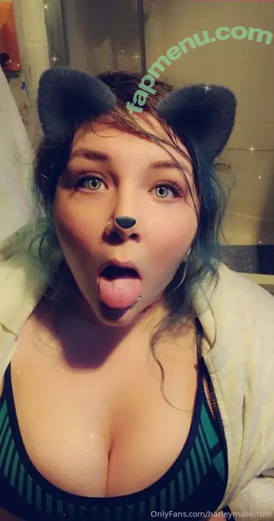 harleymaekitten nude photo #0015 (harleymaekitten)