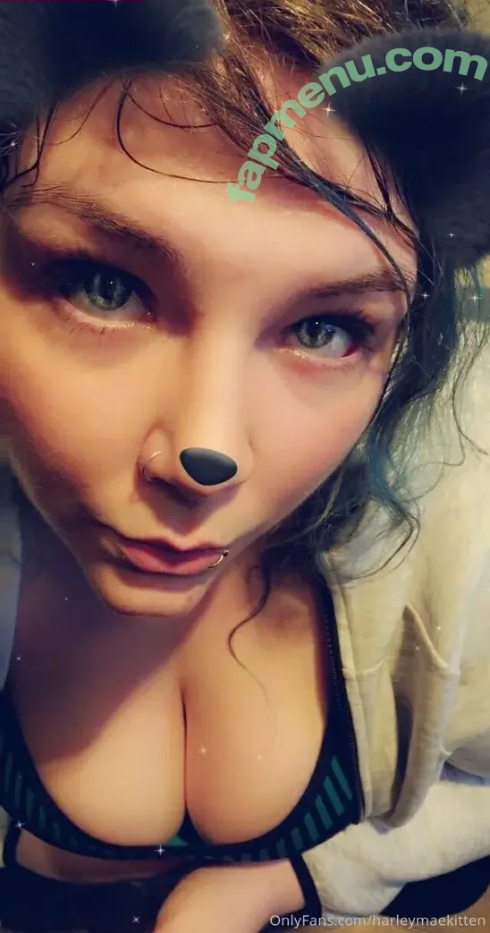 harleymaekitten nude photo #0016 (harleymaekitten)