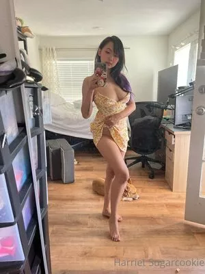 Harriet Sugarcookie / harrietsugarcookie / hsugarcookie / iamharrietsugarcookie nude photo #0175