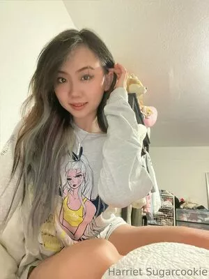 Harriet Sugarcookie / harrietsugarcookie / hsugarcookie / iamharrietsugarcookie nude photo #0255