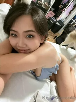 Harriet Sugarcookie / harrietsugarcookie / hsugarcookie / iamharrietsugarcookie nude photo #0257