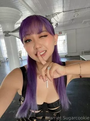 Harriet Sugarcookie / harrietsugarcookie / hsugarcookie / iamharrietsugarcookie nude photo #0290