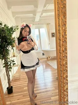 Harriet Sugarcookie / harrietsugarcookie / hsugarcookie / iamharrietsugarcookie nude photo #0459