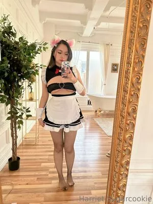 Harriet Sugarcookie / harrietsugarcookie / hsugarcookie / iamharrietsugarcookie nude photo #0464