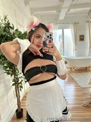 Harriet Sugarcookie / harrietsugarcookie / hsugarcookie / iamharrietsugarcookie nude photo #0467