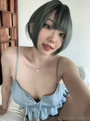 Harriet Sugarcookie / harrietsugarcookie / hsugarcookie / iamharrietsugarcookie nude photo #0541