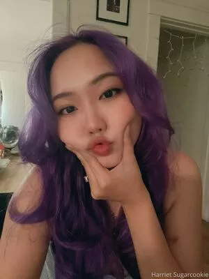 Harriet Sugarcookie / harrietsugarcookie / hsugarcookie / iamharrietsugarcookie nude photo #0705