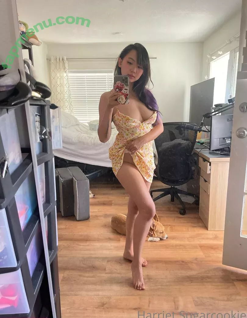 Harriet Sugarcookie nude photo #0175 (harrietsugarcookie / hsugarcookie / iamharrietsugarcookie)