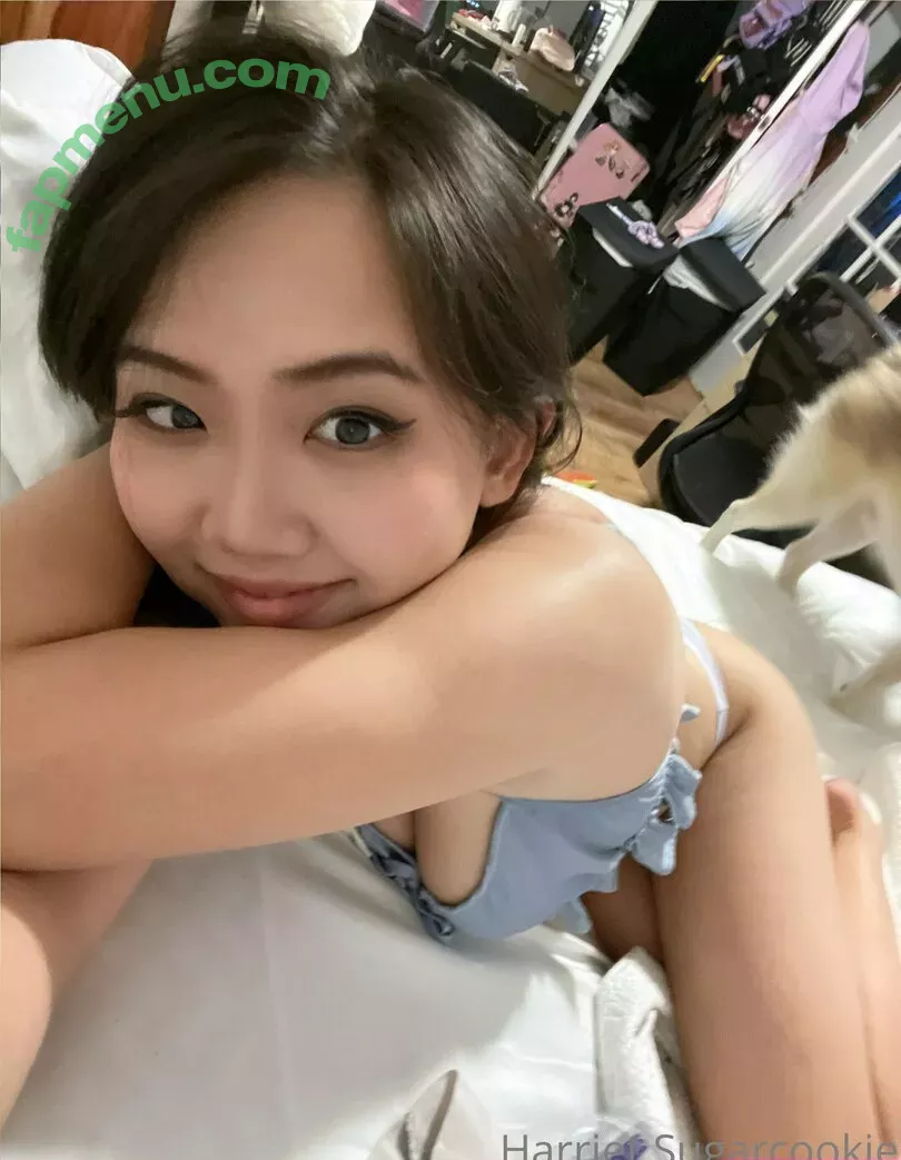 Harriet Sugarcookie nude photo #0257 (harrietsugarcookie / hsugarcookie / iamharrietsugarcookie)