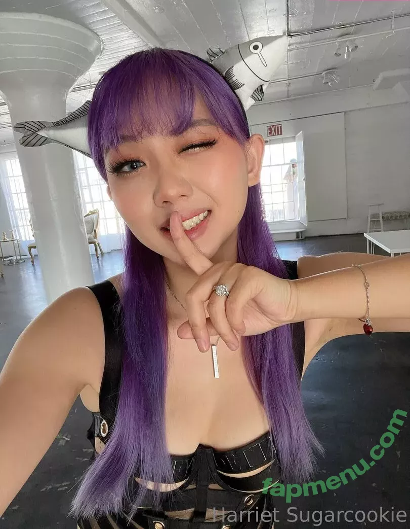 Harriet Sugarcookie nude photo #0290 (harrietsugarcookie / hsugarcookie / iamharrietsugarcookie)