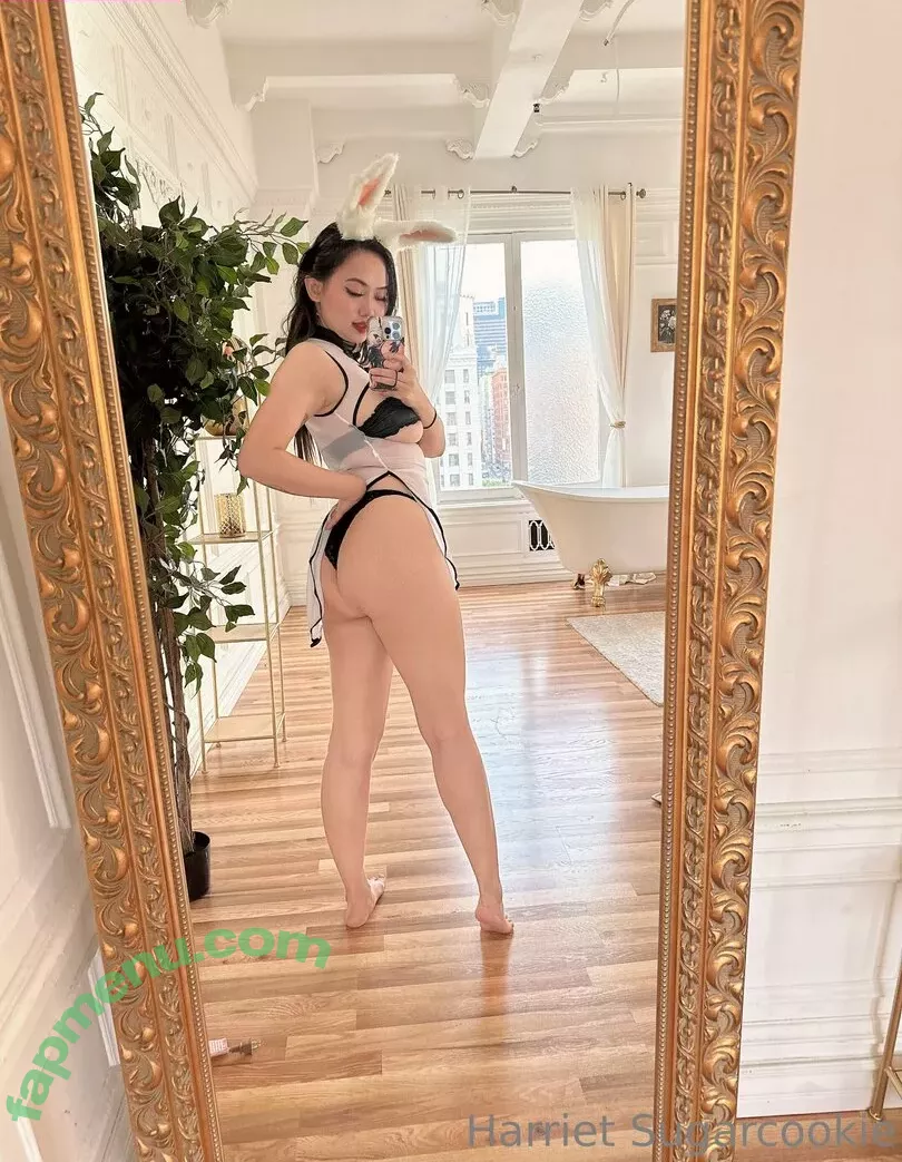 Harriet Sugarcookie nude photo #0458 (harrietsugarcookie / hsugarcookie / iamharrietsugarcookie)