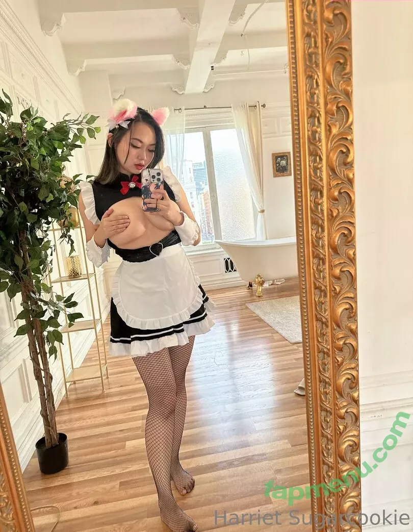 Harriet Sugarcookie nude photo #0459 (harrietsugarcookie / hsugarcookie / iamharrietsugarcookie)