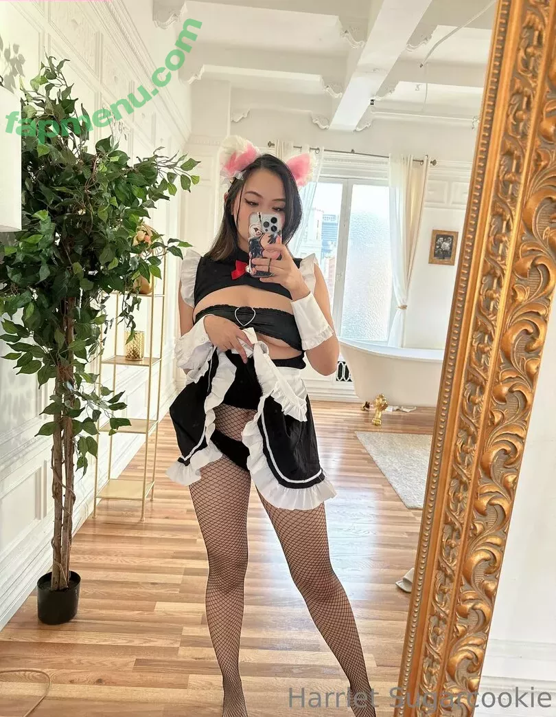 Harriet Sugarcookie nude photo #0472 (harrietsugarcookie / hsugarcookie / iamharrietsugarcookie)