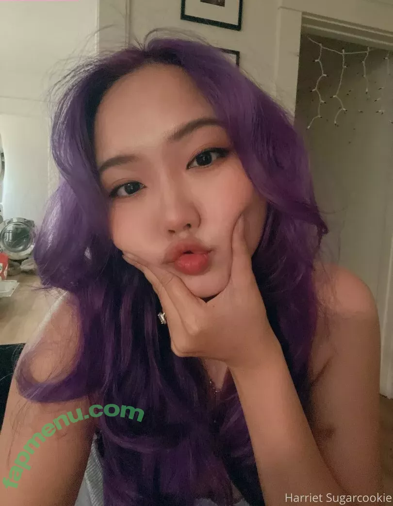 Harriet Sugarcookie nude photo #0705 (harrietsugarcookie / hsugarcookie / iamharrietsugarcookie)