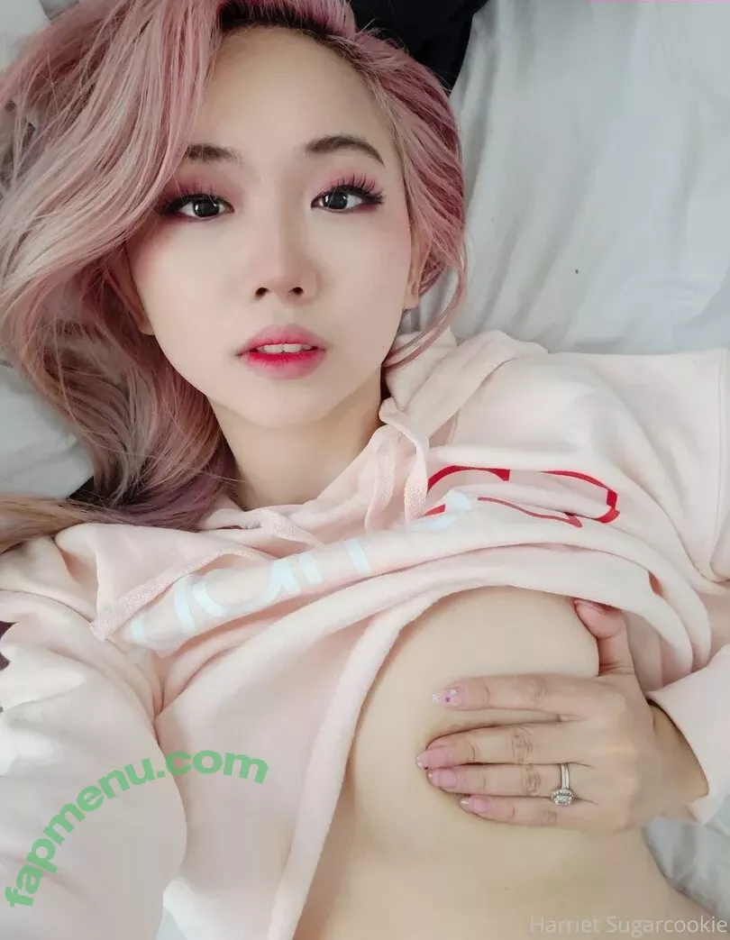 Harriet Sugarcookie nude photo #0718 (harrietsugarcookie / hsugarcookie / iamharrietsugarcookie)