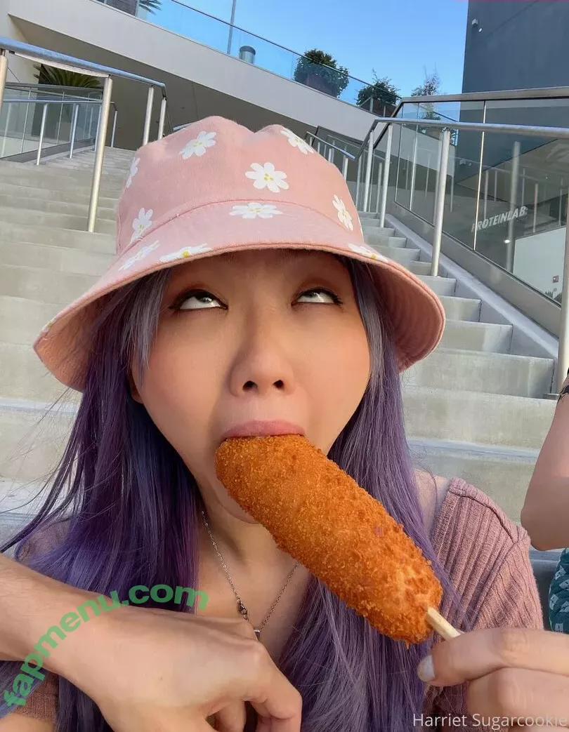 Harriet Sugarcookie nude photo #0733 (harrietsugarcookie / hsugarcookie / iamharrietsugarcookie)