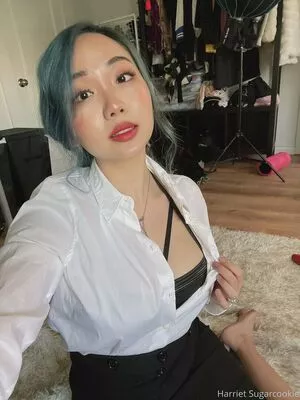 harrietsugarcookie / hsugarcookie / iamharrietsugarcookie nude photo #0075