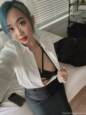 harrietsugarcookie / hsugarcookie / iamharrietsugarcookie nude photo #0079