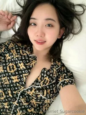 harrietsugarcookie / hsugarcookie / iamharrietsugarcookie nude photo #0211