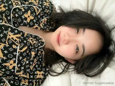 harrietsugarcookie / hsugarcookie / iamharrietsugarcookie nude photo #0212